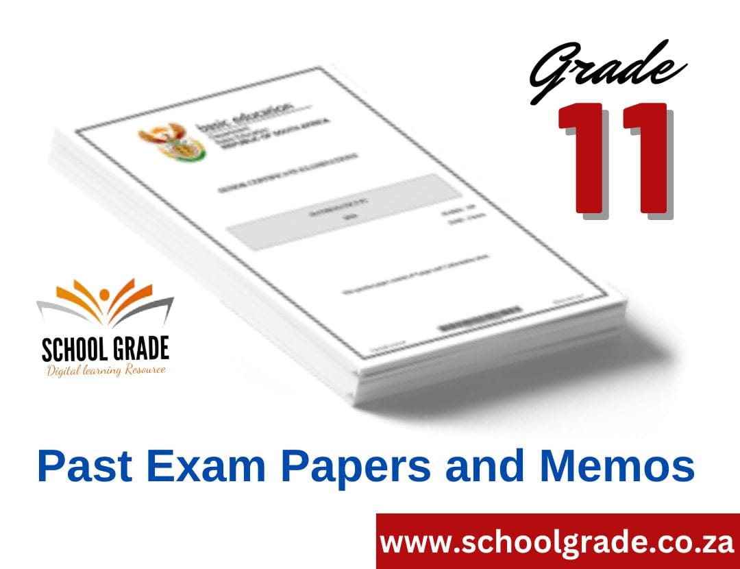 grade 6 geography exam papers and memos pdf term 4 november